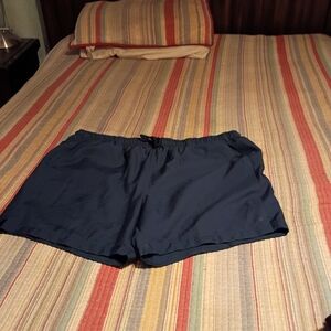 DSG Navy Blue Men's Flat Front Shorts